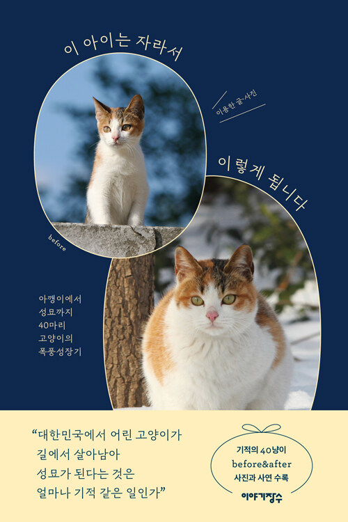 이 아이는 자라서 이렇게 됩니다: 아깽이에서 성묘까지 40마리 고양이의 폭풍성장기