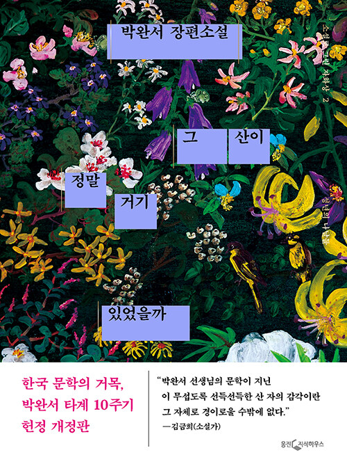 그 산이 정말 거기 있었을까: 박완서 장편소설
