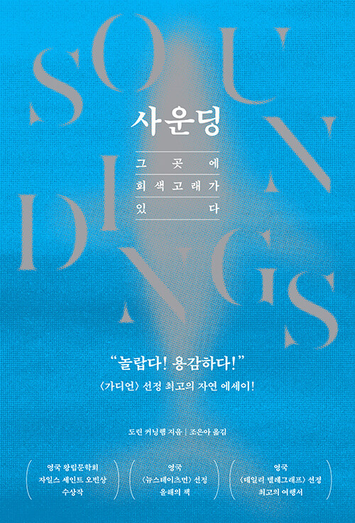 사운딩: 그곳에 회색고래가 있다