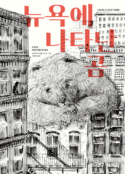 뉴욕에 나타난 곰