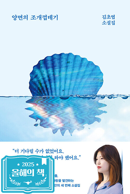 양면의 조개껍데기