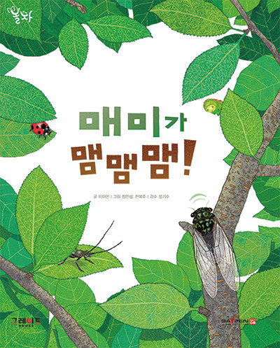 매미가 맴맴맴!