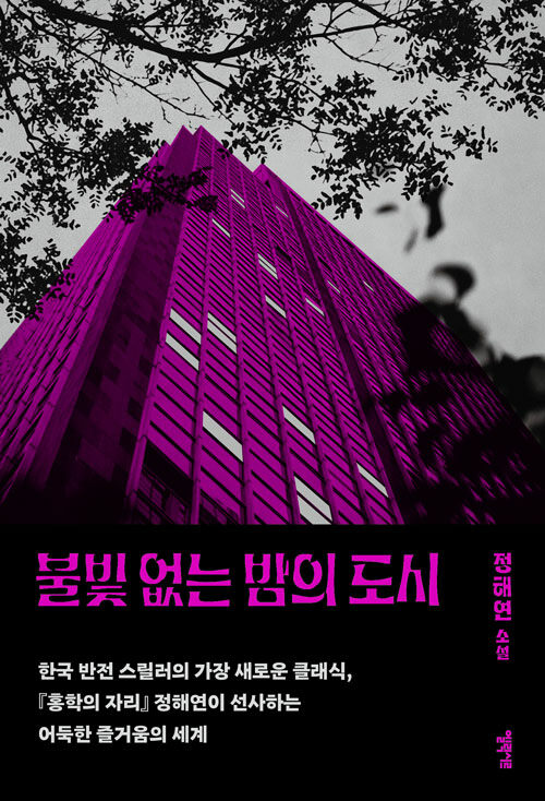 불빛 없는 밤의 도시: 정해연 소설