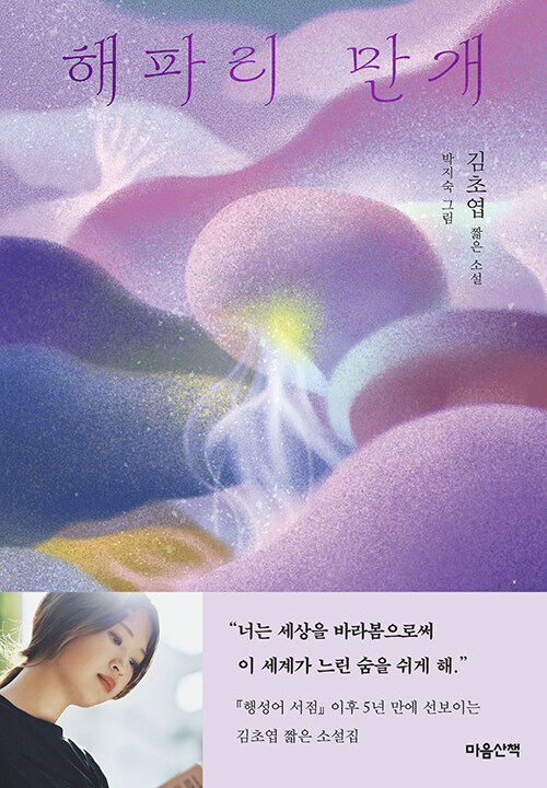해파리 만개: 김초엽 짧은 소설